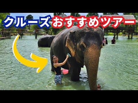 タイ・プーケットにクルーズで訪れたら参加したいツアー | ゾウには乗るのではなく触れ合う！