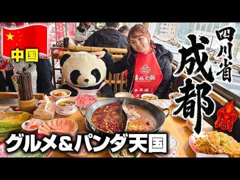 【四川成都】白浜パンダが帰る場所🐼本場の四川料理の食い倒れと三国志の「蜀」世界へ♡