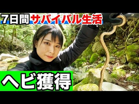 【100均サバイバル#3】ヘビと遭遇したので捕まえて食料にします
