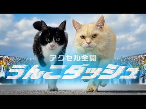 【MV】アクセル全開うんこダッシュ／ニャーゴとつよボム