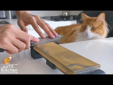 Sharpening a $1 knife