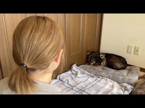 ママの愛情に初めて触れた保護犬に「幸せ」の気持ちが芽生えました…