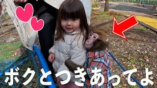 お猿さんを公園に連れて行ったら女の子にガチ恋して大変なことに…