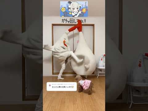 [おじさん構文]おっ⁉️ちょうどイイ音🎶がするナ〜って思ったら……ナント❗それ、オカアサンだったんダネ〜🤣💦ビックリしちゃったヨ〜〜😂✨ #ASMR #おじさん構文 #お返事まだカナおじさん構文