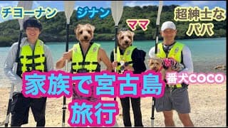 【閲覧安心】10年ぶりに家族旅行行ったら、家族も一匹🐶増えてエモいのが撮れたよ　「らめえ〜！」なんて言わないぜ！！＃コムドット＃ココドッコ＃宮古島