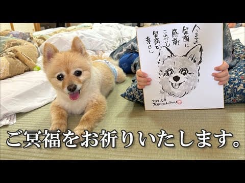 とても残念な事故が起きてしまいました…