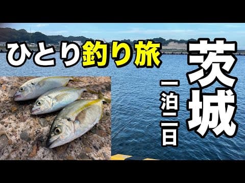 夜涼しいから茨城県に車中泊ひとり釣り旅に行く事にした！2024.8