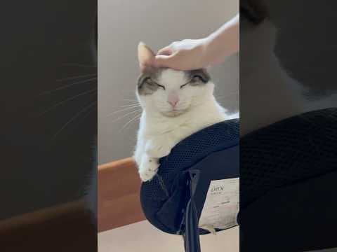 季節外れの粉雪