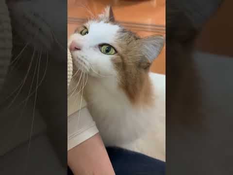 来るかぁ？来るかぁ？来るかぁ？キタァー！