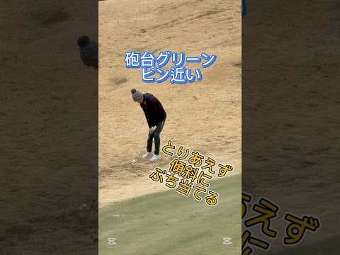砲台グリーン ピン近い　とりあえず傾斜にぶち当てる #shorts #ゴルフ #アプローチ #golf