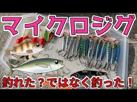 【マイクロジグ】完全マスター講座 ～時間・季節・魚種・アクションを徹底解説～