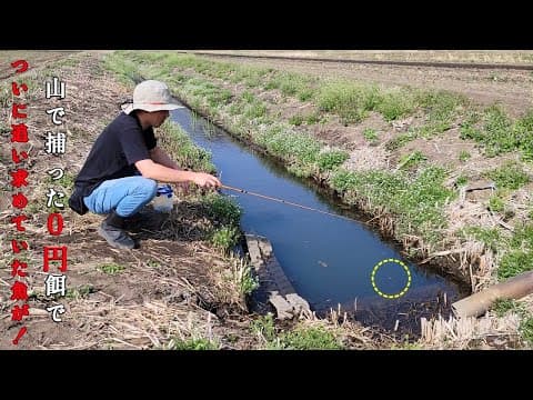 田舎の男は、エサ代０円で念願だった美魚を釣ってしまう！