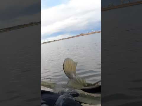 【バス釣り事件現場】濡れた斜め護岸の危険性を知る動画 #ショート