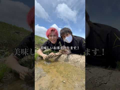 石川県で田植えをしました　#復興 #がんばろう能登