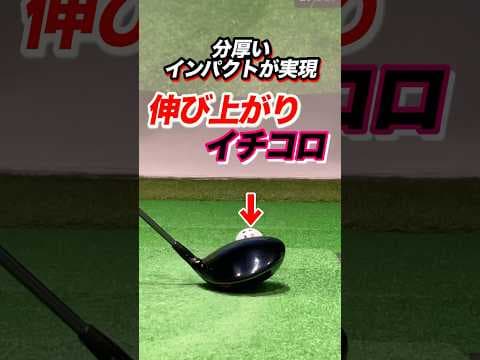 【前傾キープ】たったコレだけで方向性が安定！伸び上がりを改善するためにはアドレスのお腹を準備しておく #shorts #ゴルフOB撲滅 #ゴルフ伸び上がり
