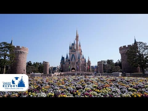 【公式】「サマー・クールオフat Tokyo Disney Resort」テーマソングの一部をお届け  | 東京ディズニーリゾート/Tokyo Disney Resort