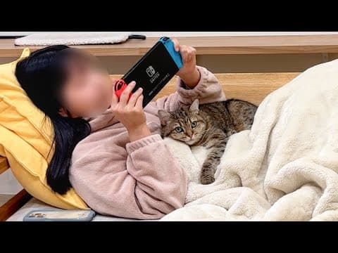ゲームしたいのに猫が甘えてきて困ってます…！