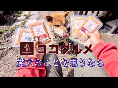 レオくん今回はどうなの？手作りドッグフードのココグルメ参戦✨
