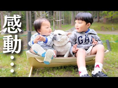 人間不信な愛犬が1歳児と5歳児を家族と認める姿に感動しました…【キャンプ】
