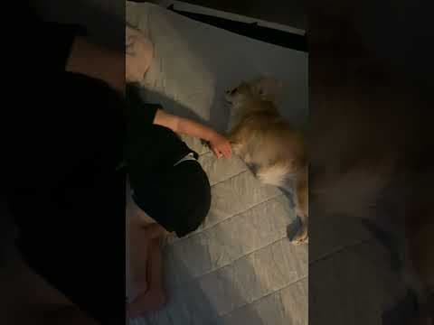 寝てる赤ちゃんを見に行ったら…