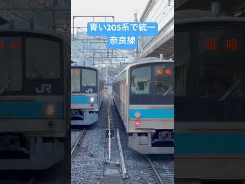 奈良線に集結！205系。鶯色103系の奈良線は引退した。