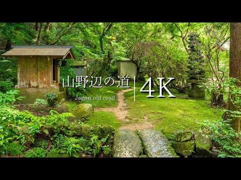 【日本最古の道】山の辺の道｜三輪駅→石上神を歩く - JAPAN in 4K