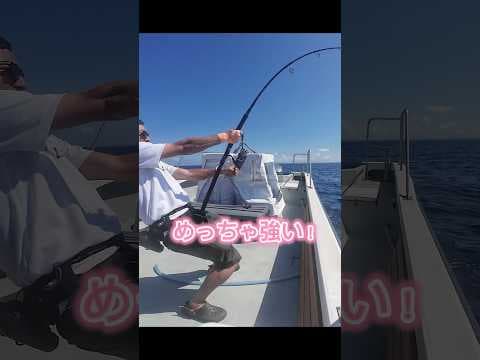 GT釣りたくてしぬ