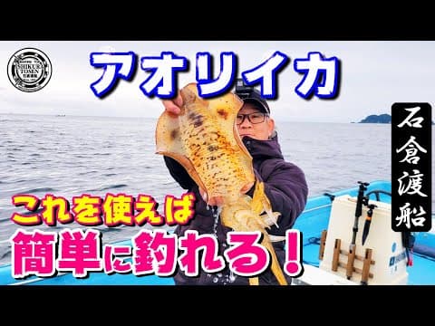 アオリイカが簡単に釣れる！【ウキ釣りアオリイカ】