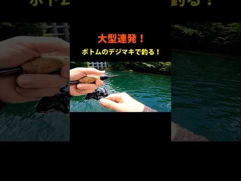 ボトムに潜む大型魚をデジマキで狙う！ #釣り #エリアトラウト #fishing #ネイティブトラウト