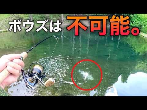 【初心者でも余裕】簡単に爆釣できる管理釣り場はここだ‼【管理釣り場　エリアトラウト】