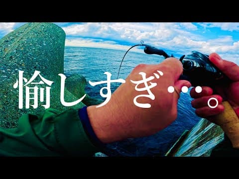 【穴釣り】大物シーズンなので調査に行ってきました