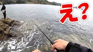 ショアから真鯛が釣れた‼️