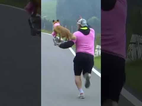 恒例のきつねおじさん【Cycle*2025 ジロ・デ・イタリア 第15ステージ】#giro #shorts #cycle