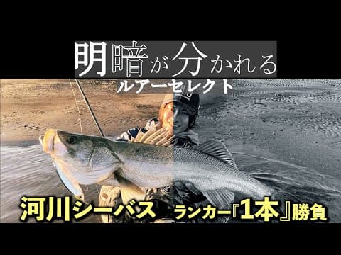 明暗を分ける明暗狙い。狙うはランカー１本！河川で効くルアーの見極め方を完全解説