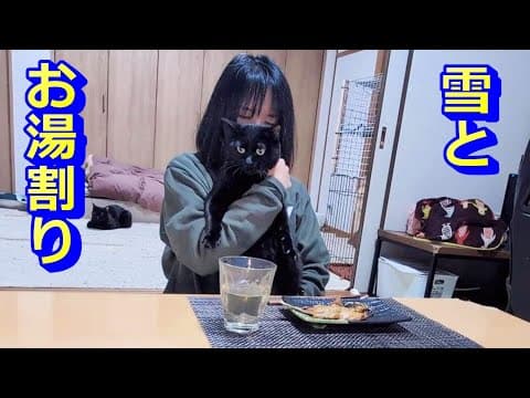 猫と晩酌！雪の日のお湯割りと自家製おつまみ！