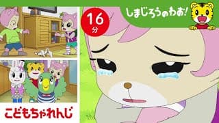 【16分アニメ】お兄ちゃんとケンカしちゃった...素直にごめんって言えるかな？ | 仲直り・家族愛 | しまじろうのわお！アニメ | しまじろうチャンネル公式