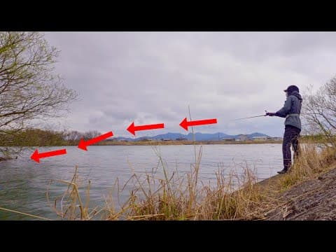 モンスターが浅瀬による春。木から大物を引きずり出す。