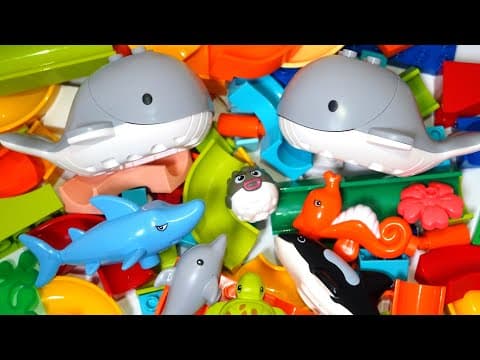 Satisfying Building Blocks Marble Run Very popular! A huge collection of sea creatures Block coaster