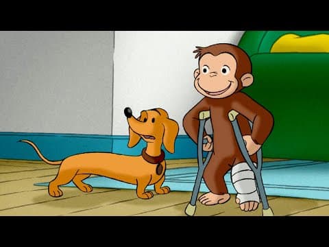 ハンドリー、モンキーシッターになる！ | 全編 🐵 おさるのジョージ