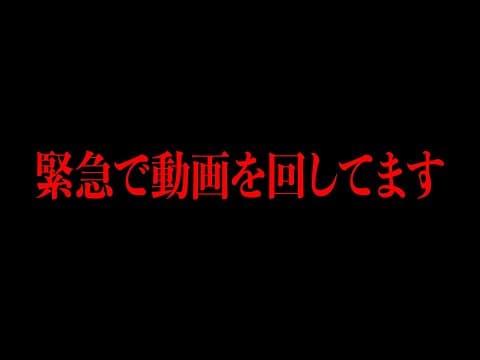【緊急】家が崩壊の危機で、猫ちゃん大パニック！！！