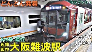 近鉄・阪神 大阪難波駅 7🚃どんどん電車が発着！●8A系、特急 しまかぜ・ひのとり・アーバンライナー、快速急行 等（夕方ラッシュ 奈良線・なんば線）