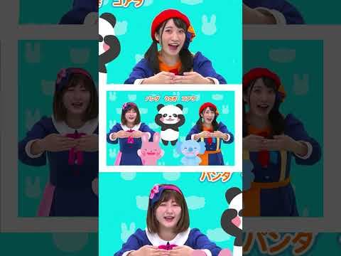🎵パンダうさぎコアラ  #shorts