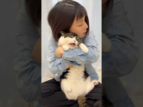 猫を吸ったりスリスリしたらマジギレされましたwww