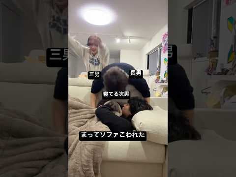 ソファこわれたwww #shorts #dance