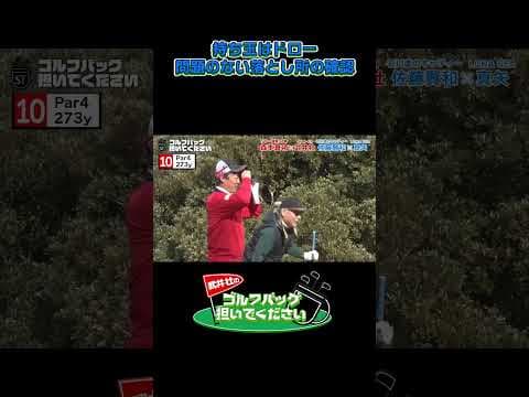 【持ち玉はドロー問題のない箇所の確認】武井壮のゴルフバッグ担いでください/#武井壮#プロキャディー #golf #ゴルフ #shorts #切り抜き #プロゴルファー#真矢
