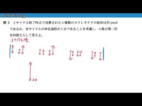 「高校生物　大阪大学2023大問4 （問2・ 問3）PCR法」