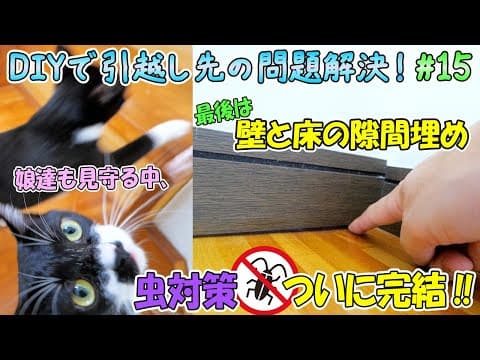 壁や床の隙間を埋めるのは超簡単！虫の侵入を防ぎ気密性を高める「コーキング」は住宅補修の必需品🏡【DIYで妻の引っ越し先の様々な問題を解決🔨＃15】