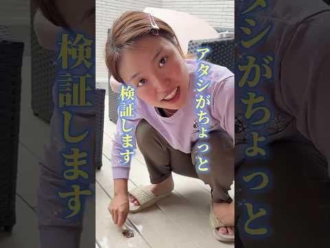 【検証】ゴムはチョコで溶けるのか？#shorts