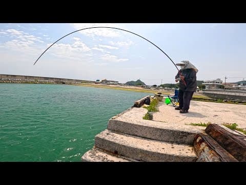 釣りの達人おばーが小魚釣り中に大物を”3匹”も掛けてしまい体力の限界まで勝負する