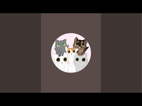 4/29 お昼のゲリラ猫配信🐱